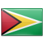 Guyana Vizesi
